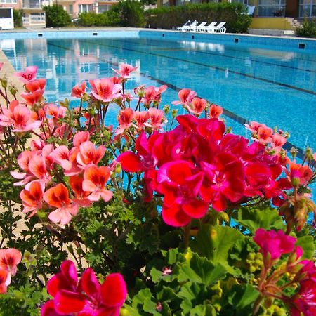 Sunshine Pearl Family Hotel Kavarna Extérieur photo