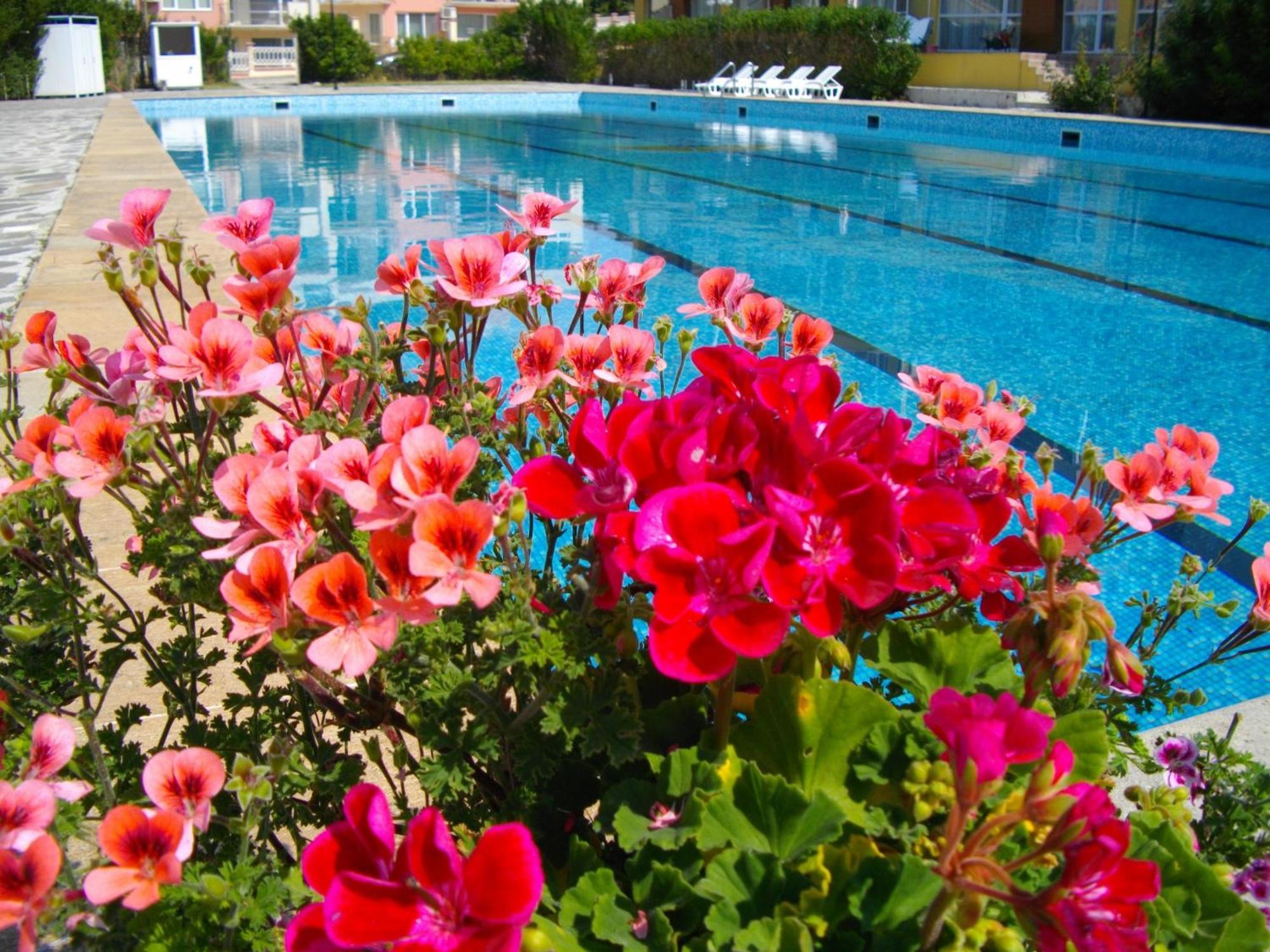Sunshine Pearl Family Hotel Kavarna Extérieur photo